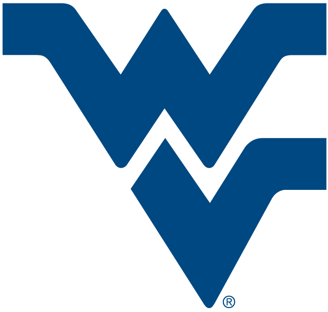 West Virginia Mountaineers 1980-Pres Alternate Logo v5 DIY iron on transfer (heat transfer)